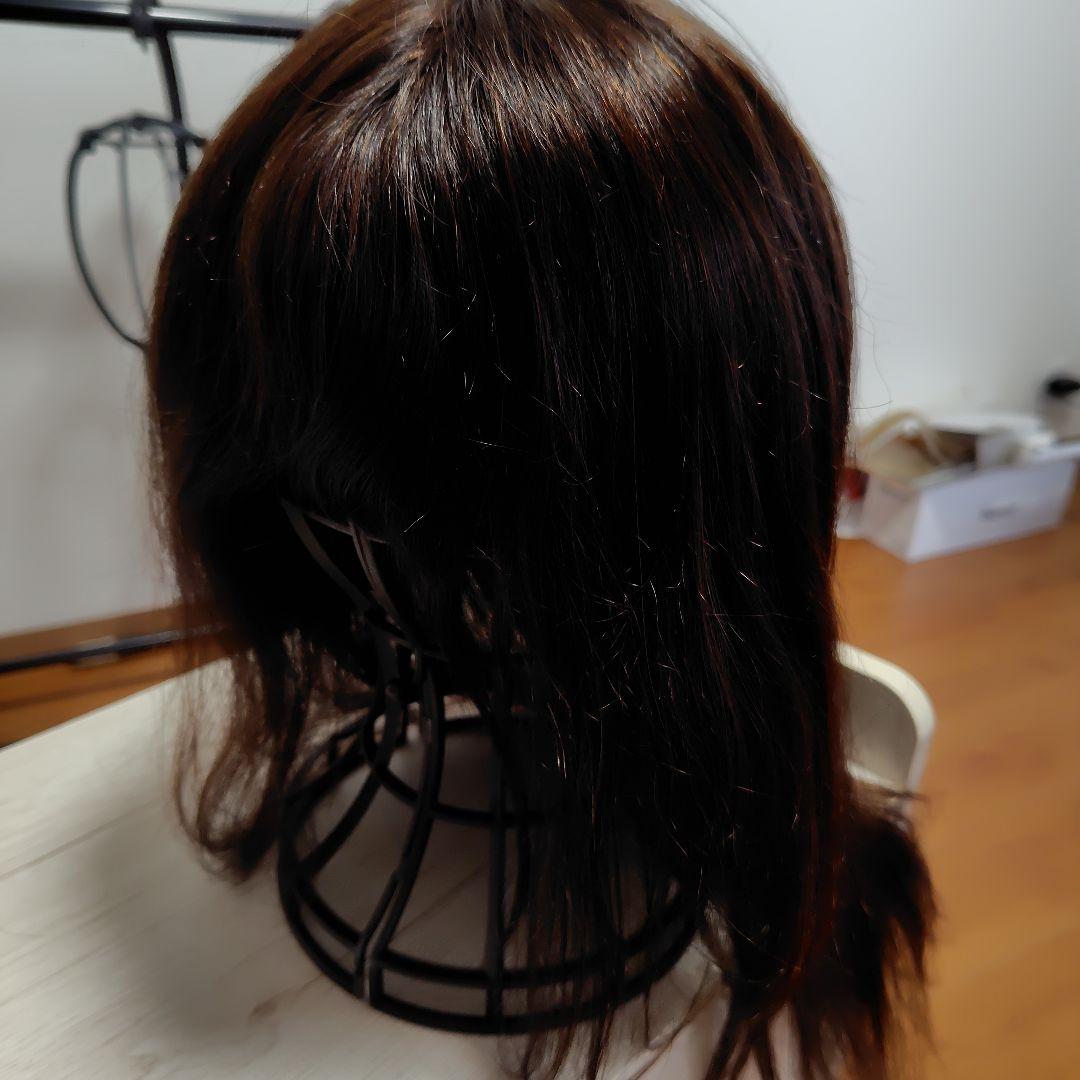 Sサイズ　新世界　ダークブラウン ロング　人毛100%　総手植　ウィッグ