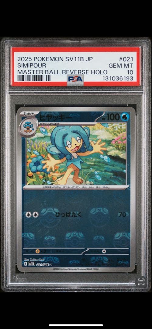 2025年ポケモンSV11B JP メグロコ＆シミュウポ セット