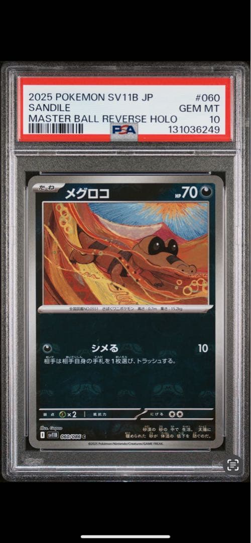 2025年ポケモンSV11B JP メグロコ＆シミュウポ セット