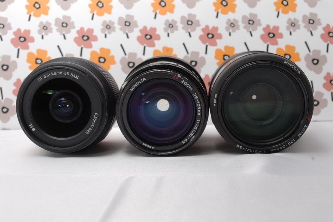 ❤SONY α65❤1秒10コマの高速連射❤トリプルレンズ❤超望遠❤超高画質❤