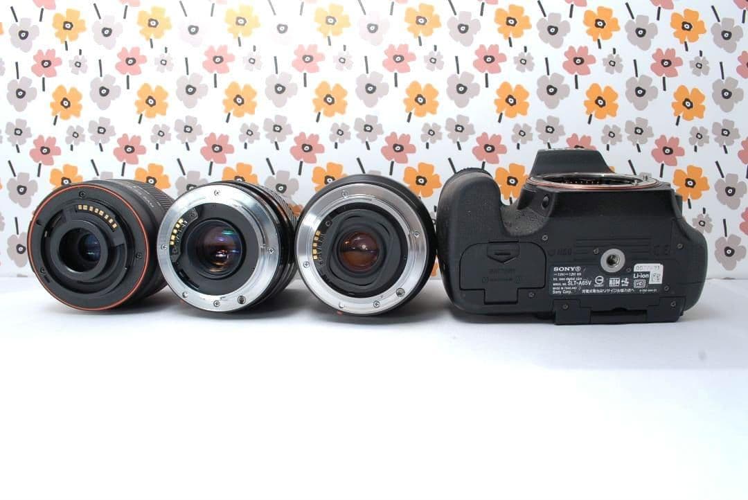 ❤SONY α65❤1秒10コマの高速連射❤トリプルレンズ❤超望遠❤超高画質❤