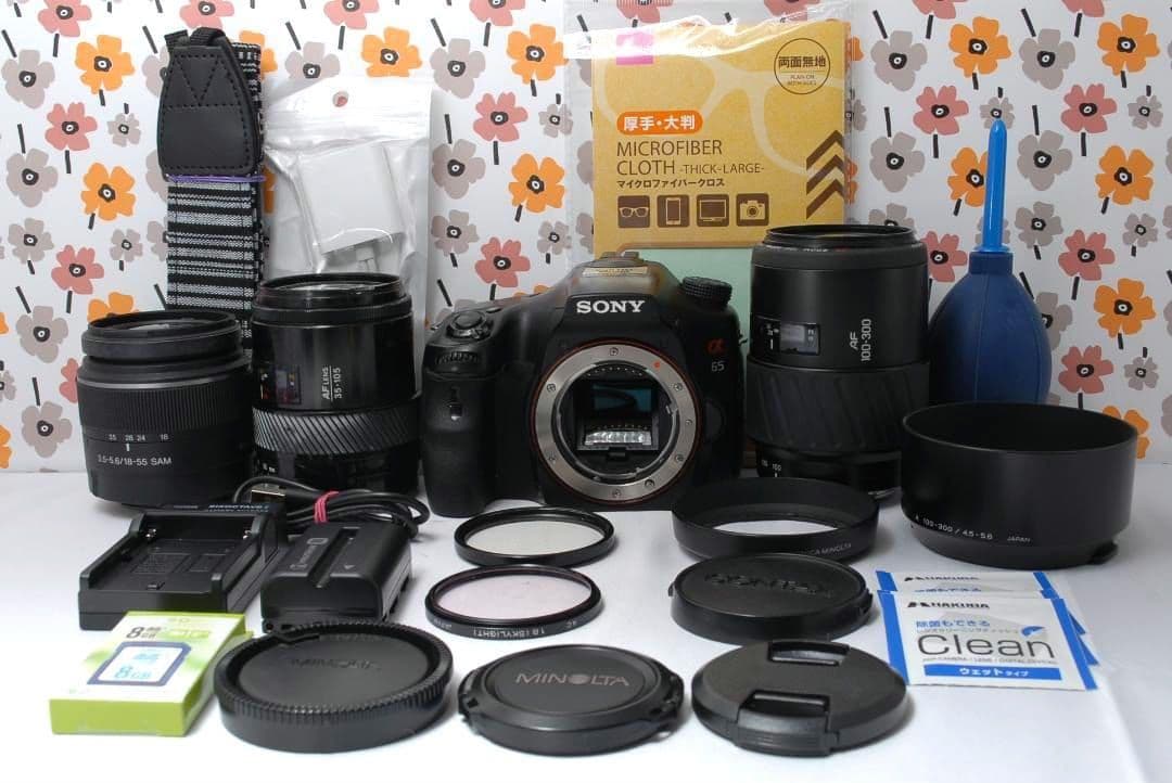 ❤SONY α65❤1秒10コマの高速連射❤トリプルレンズ❤超望遠❤超高画質❤