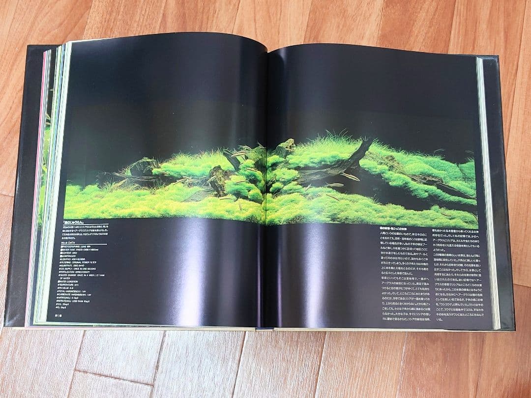 熱帯魚 天野尚 ガラスの中の大自然 水草レイアウト 作品集 ＋ ADA2001