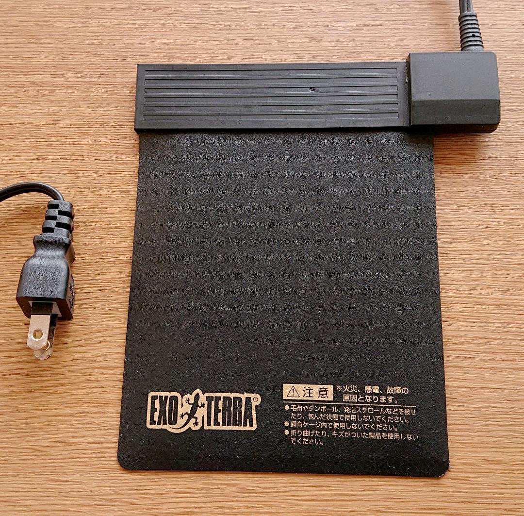 カナヘビ・爬虫類飼育11点セット