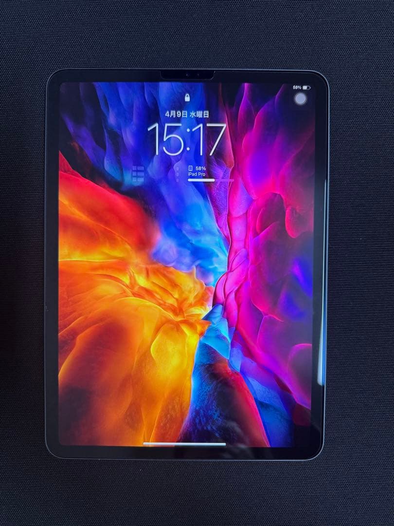 Apple iPad Pro 11インチ (第2世代) 本体