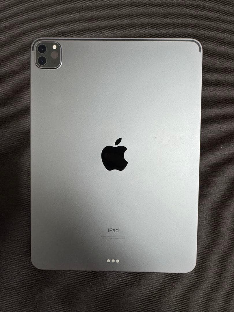 Apple iPad Pro 11インチ (第2世代) 本体