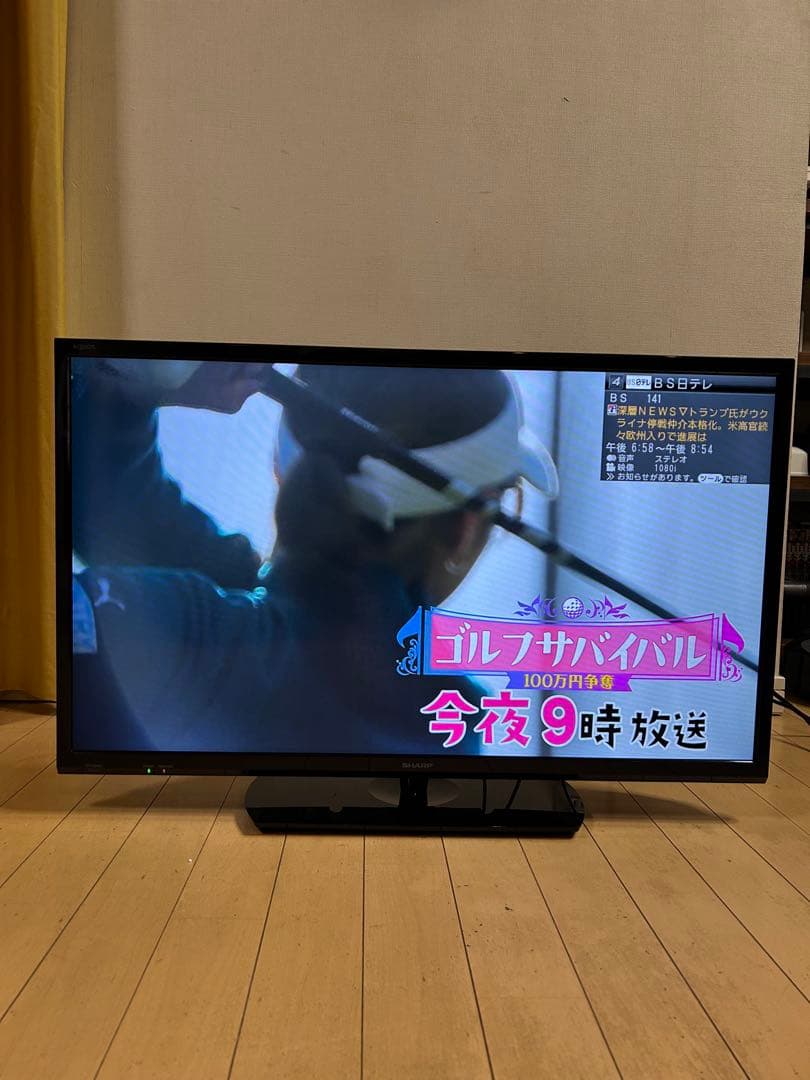 高画質 テレビ 本体