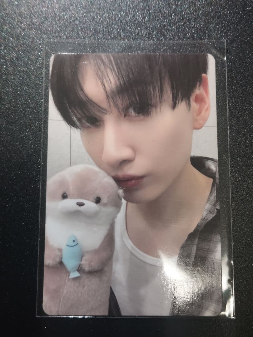 SUPER JUNIOR SJ MARKET 特典トレカ ウニョク