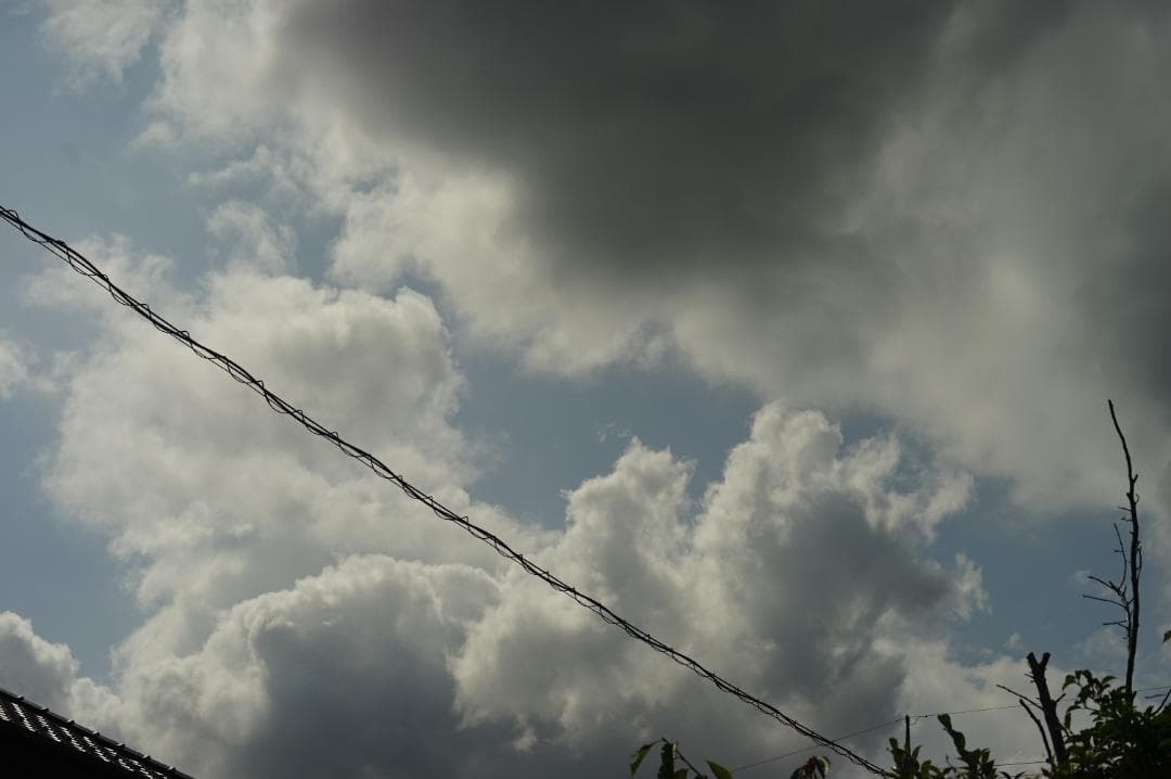 Nikon F ロクヨンマル 640万台 Nikkor-S 5.8cm f1.4