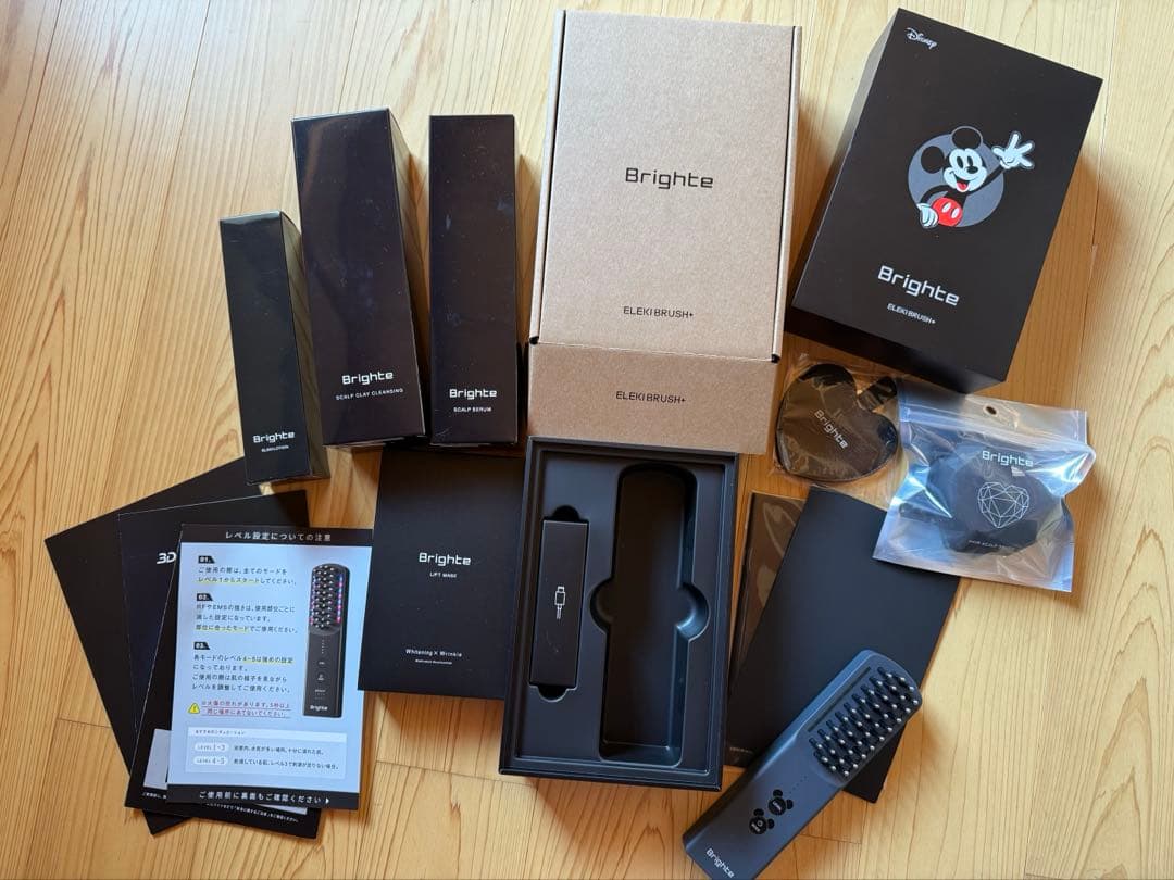 ブライト☆エレキブラシ＋限定ミッキーセット1式☆2026年1月購入☆新品同様
