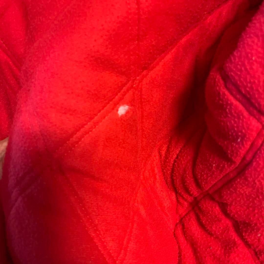 Carhartt ベージュ サンタフェジャケット