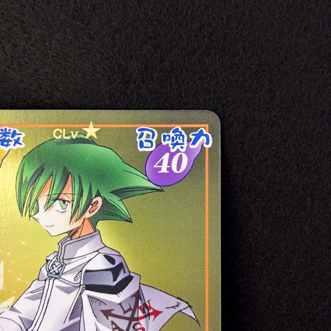 シャーマンキング　超占事略決　スペシャルレア　リゼルグ