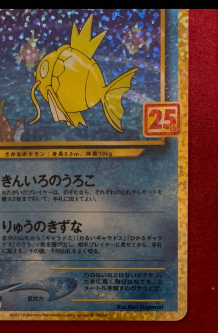 ひかるコイキング25th