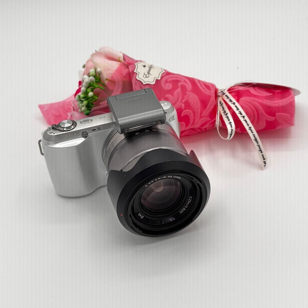 動作良好✨ソニー NEX-C3 レンズ付 バッテリー充電器付ミルフィーユ