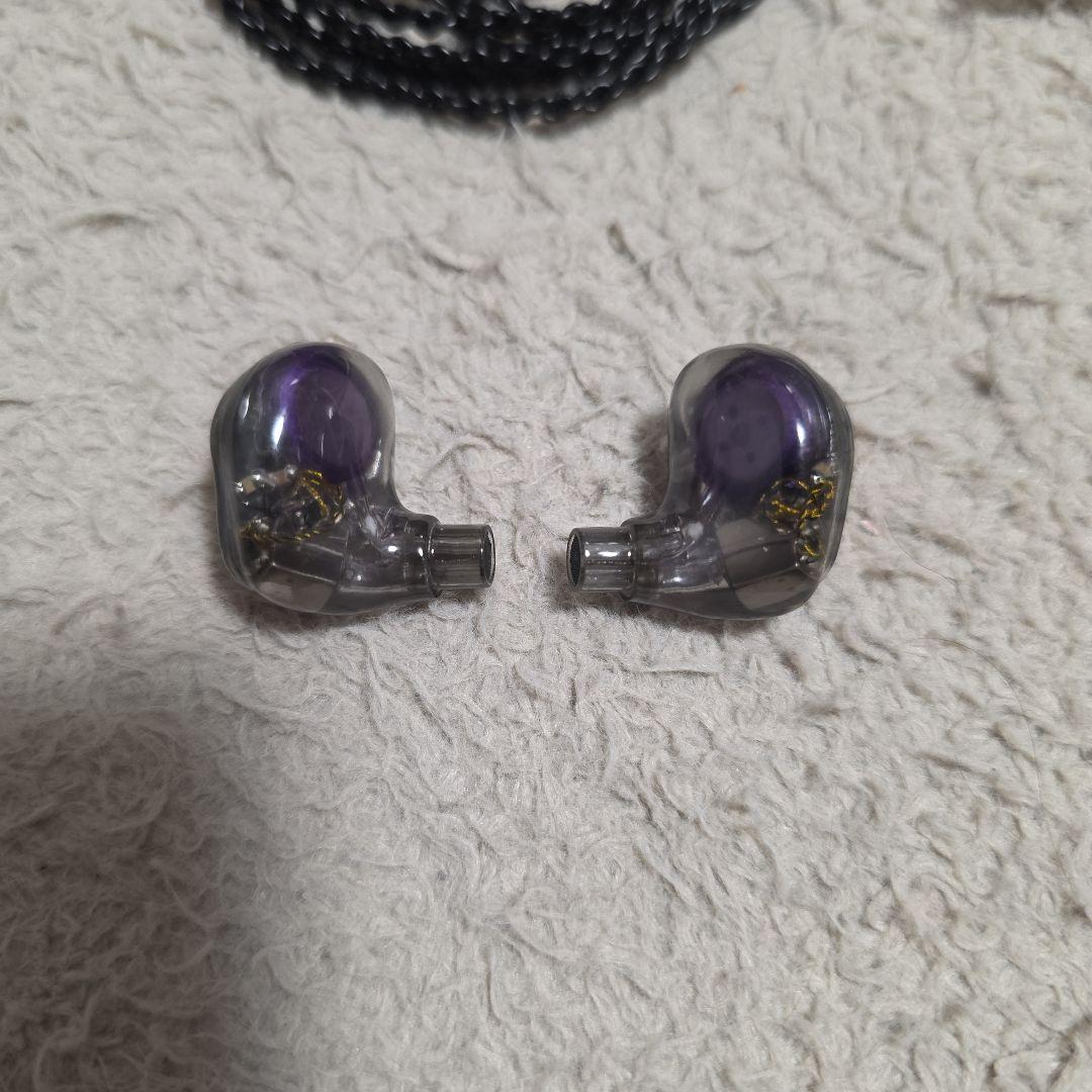 VISION EARS MEISTER Universal Fit 日本限定