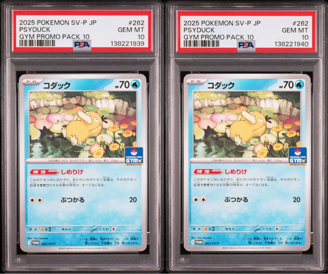 PSA10 連番 コダック ジムプロモ ④