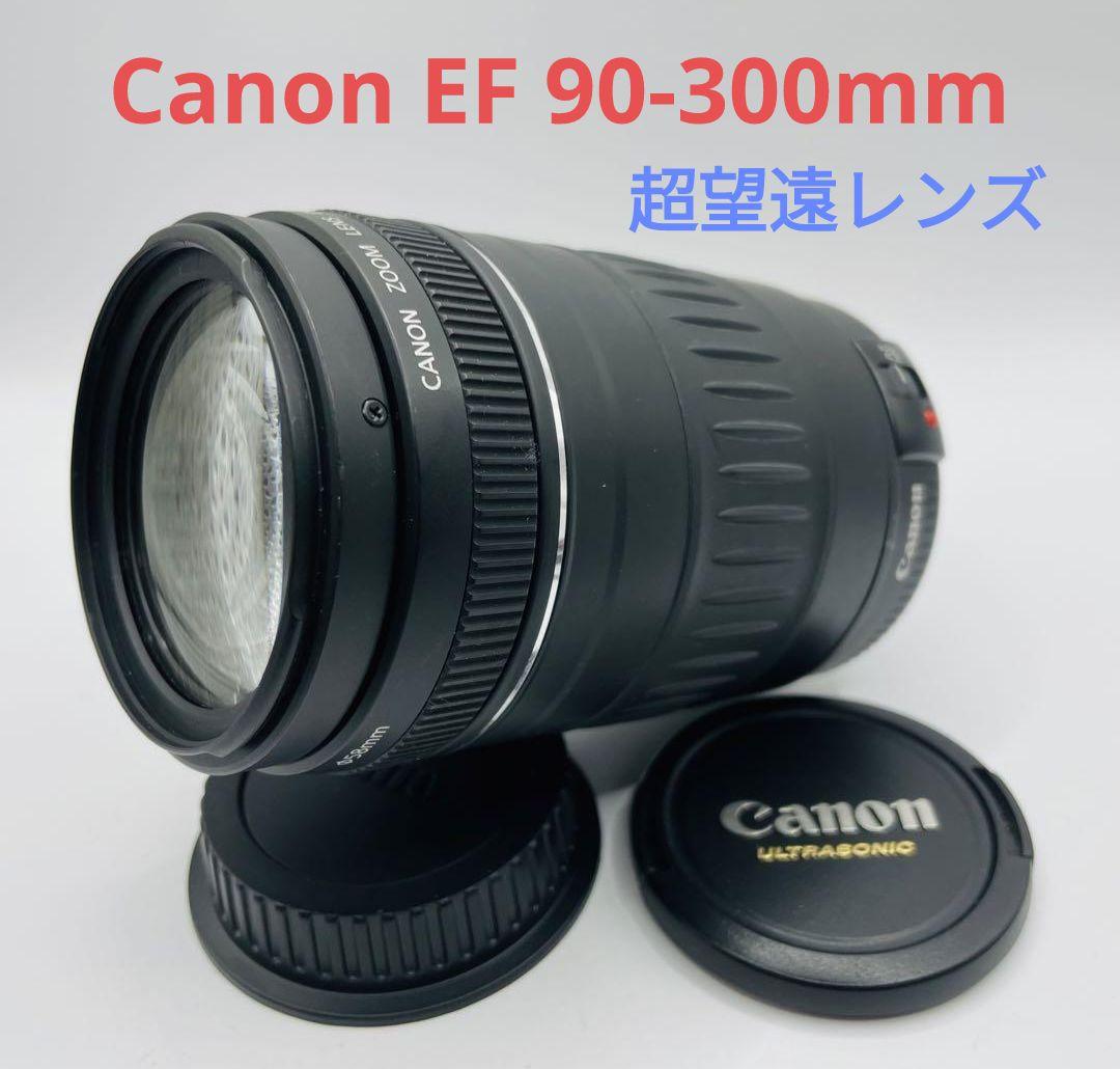 1月23日限定価格♪【超望遠レンズ】Canon EF 90-300mm