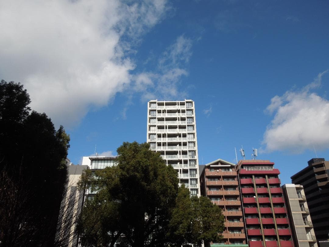 【美品】【スマホ転送OK】ニコン Nikon COOLPIX S8200