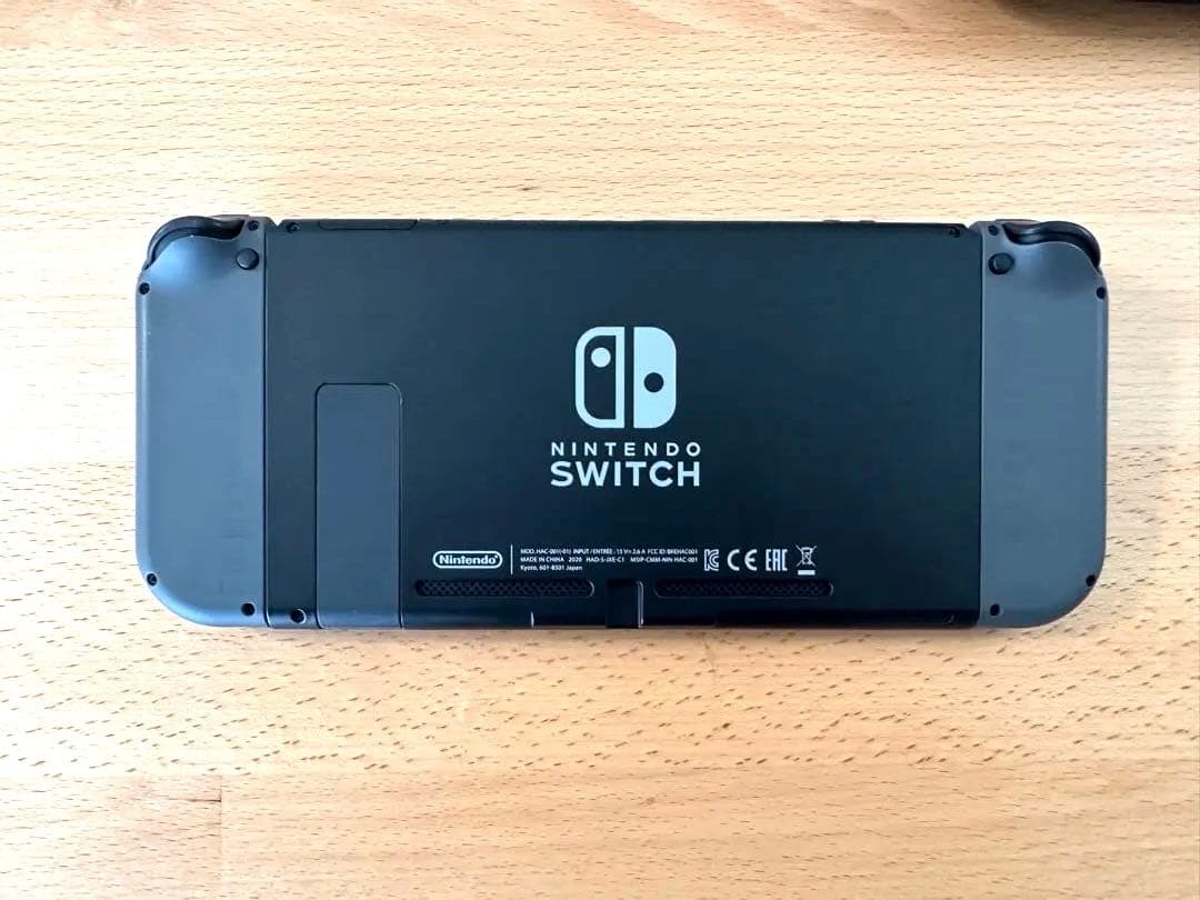 Nintendo Switch 本体 グレー カバー　充電器付き