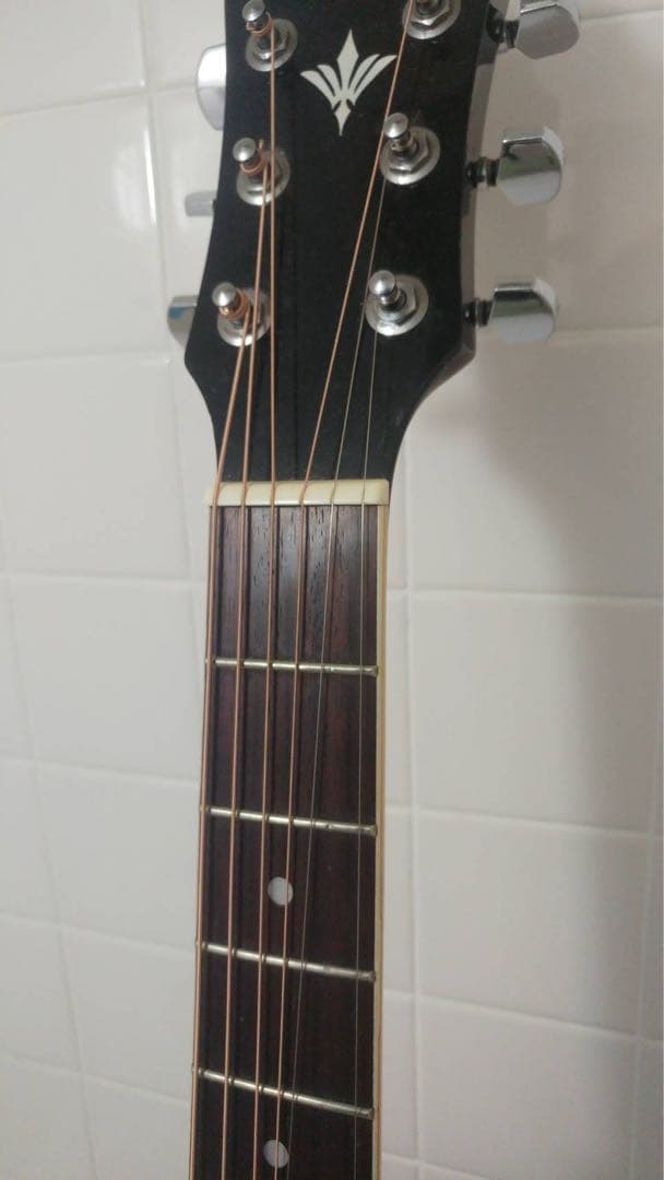 エレアコ AriaアリアElecord エレコード FET-500EBKS 中古