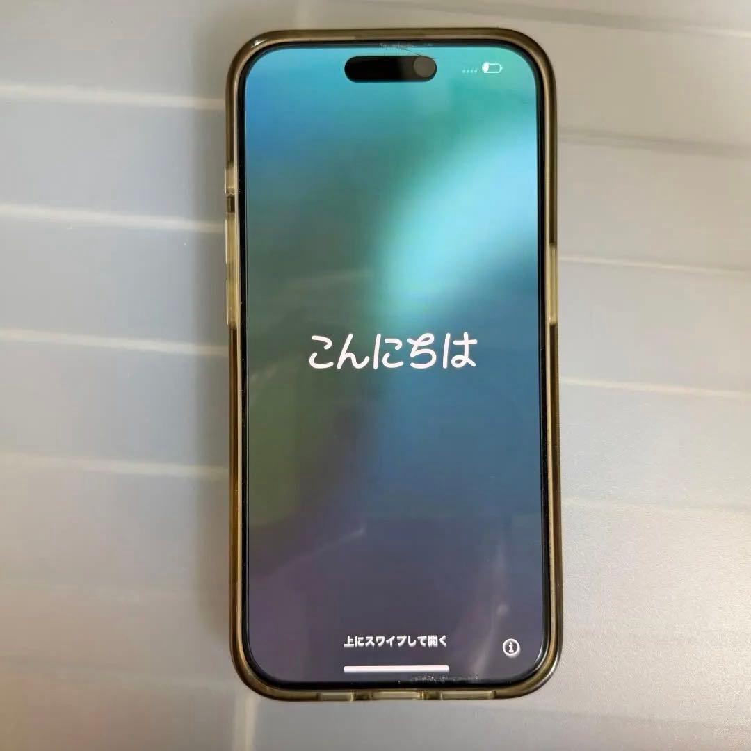 【美品】iPhone15 Pro 256GB Apple