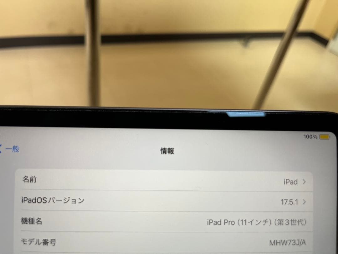 11インチiPad Pro第3世代　256G