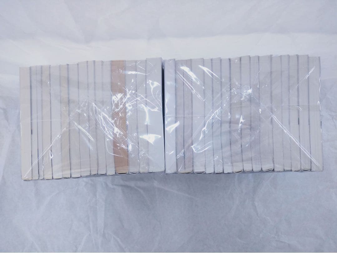 土日セール⭐︎ラダーシリーズ　セット 30冊