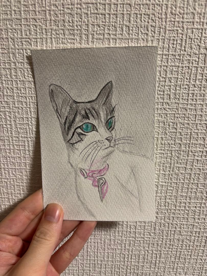 メロンパンダ出品　猫　絵
