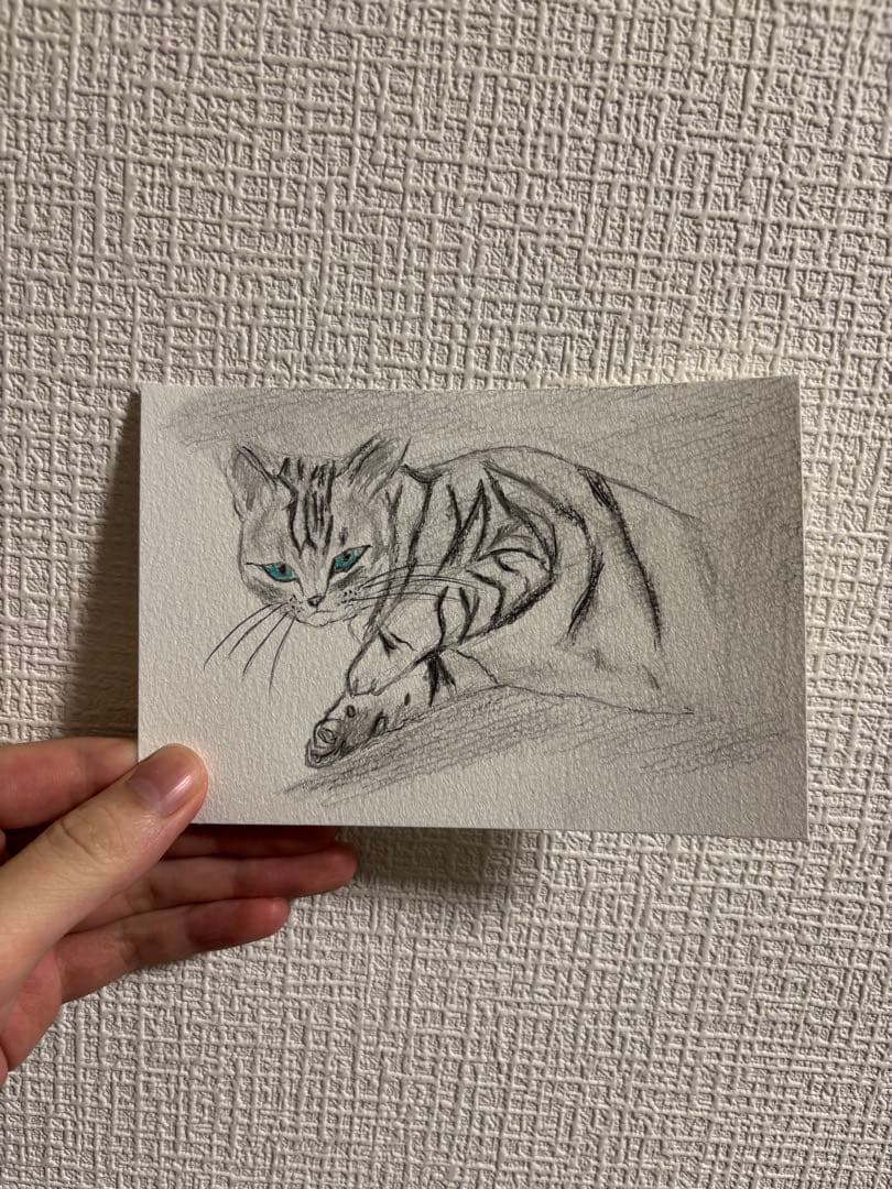 メロンパンダ出品　猫　絵