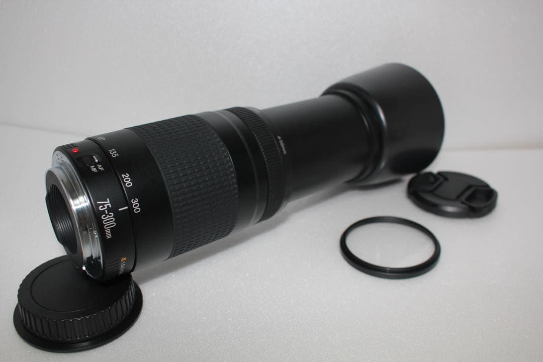迫力の300㎜/キャノン望遠レンズ/Canon EF75-300 II