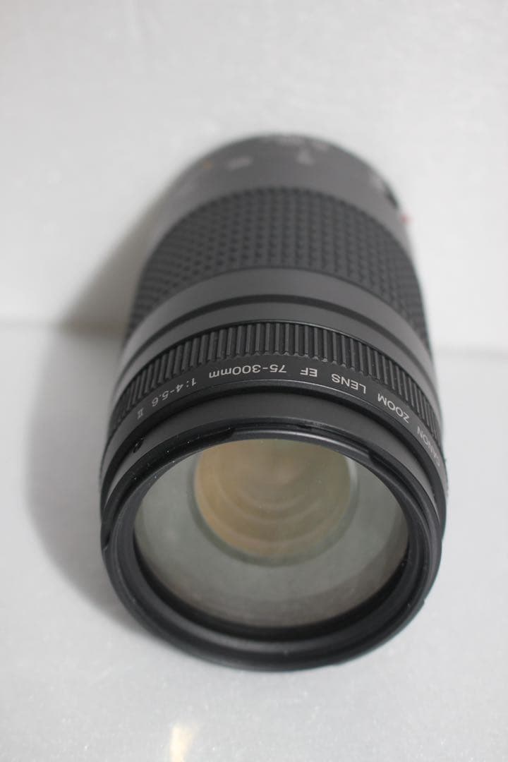 迫力の300㎜/キャノン望遠レンズ/Canon EF75-300 II