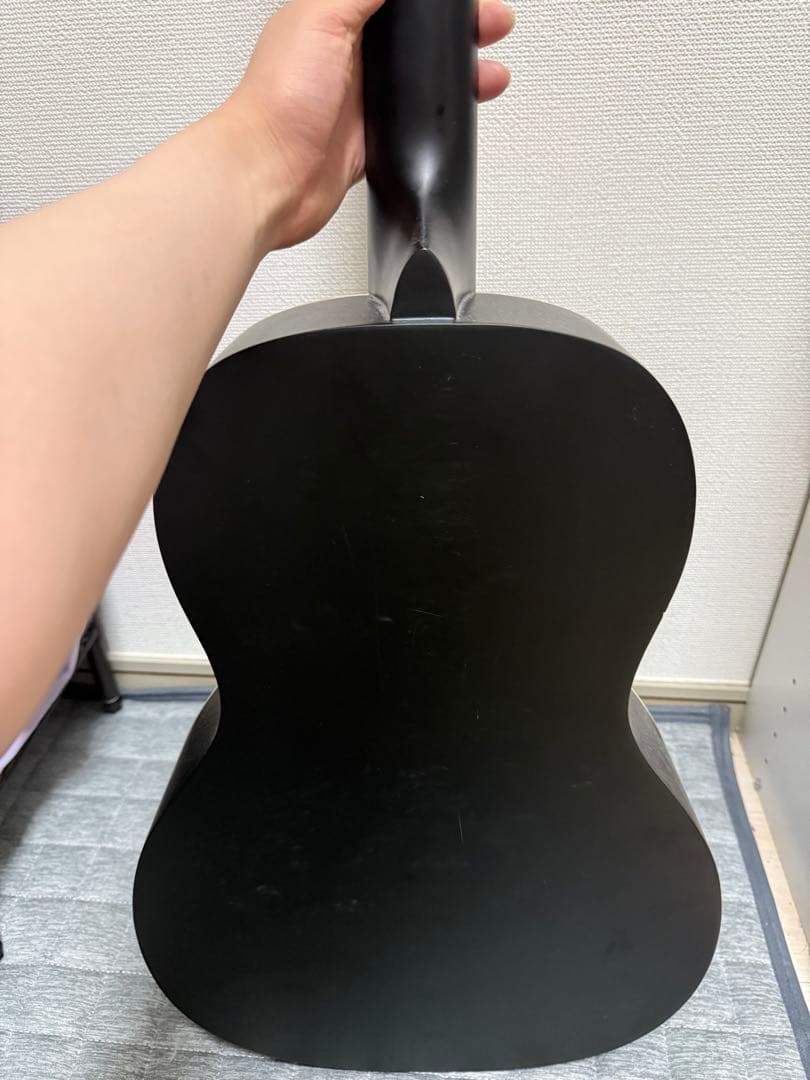 Recording King アコースティックギター ブラック