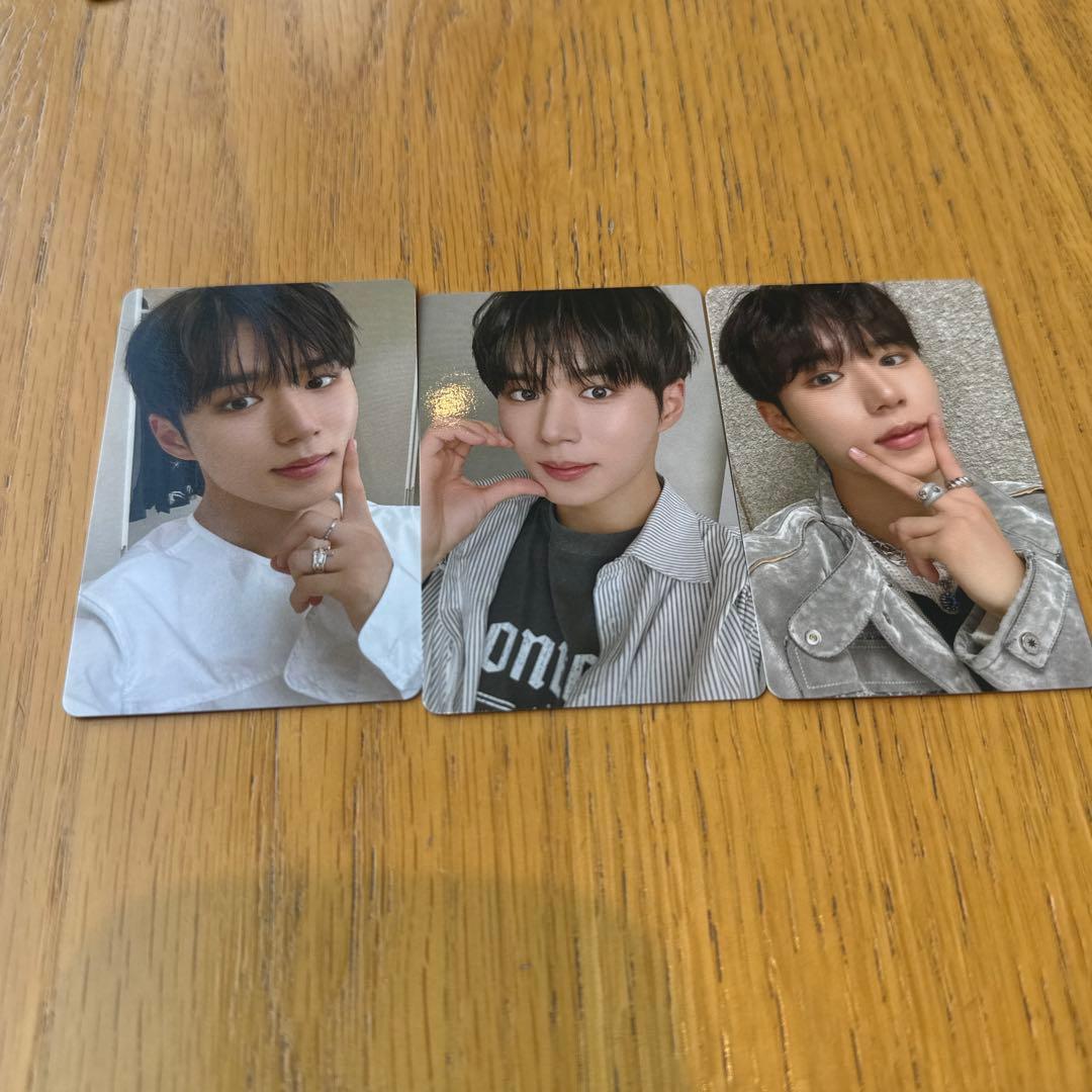 シンロン ジュンソ おまとめ 6点