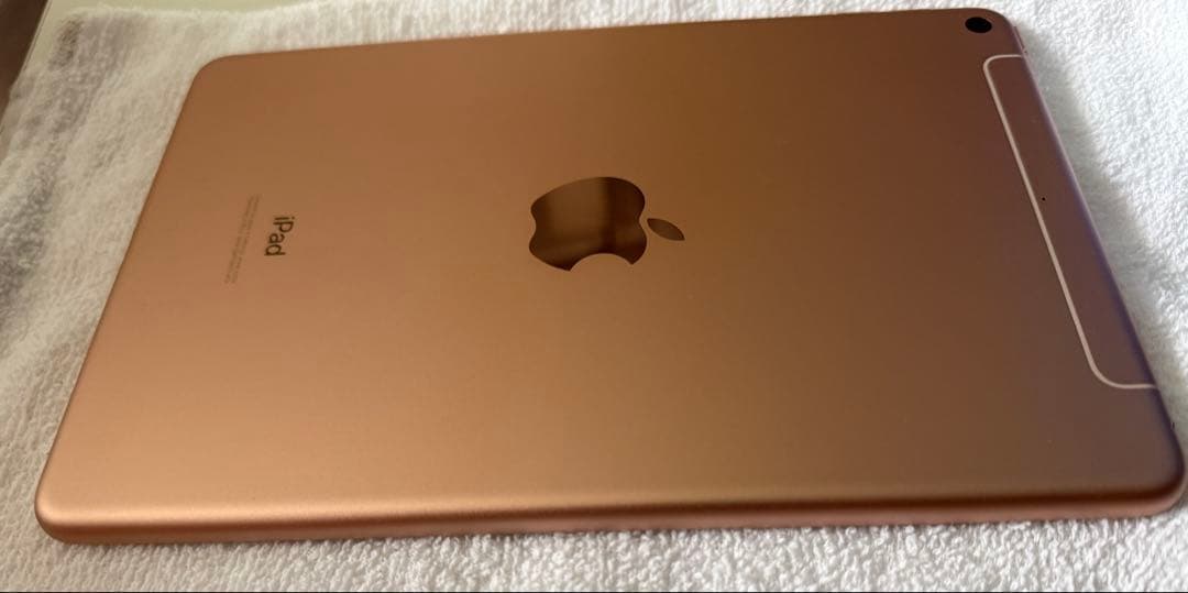 iPad mini 7.9インチ第5世代 Wi-Fi+Cellular 64GB