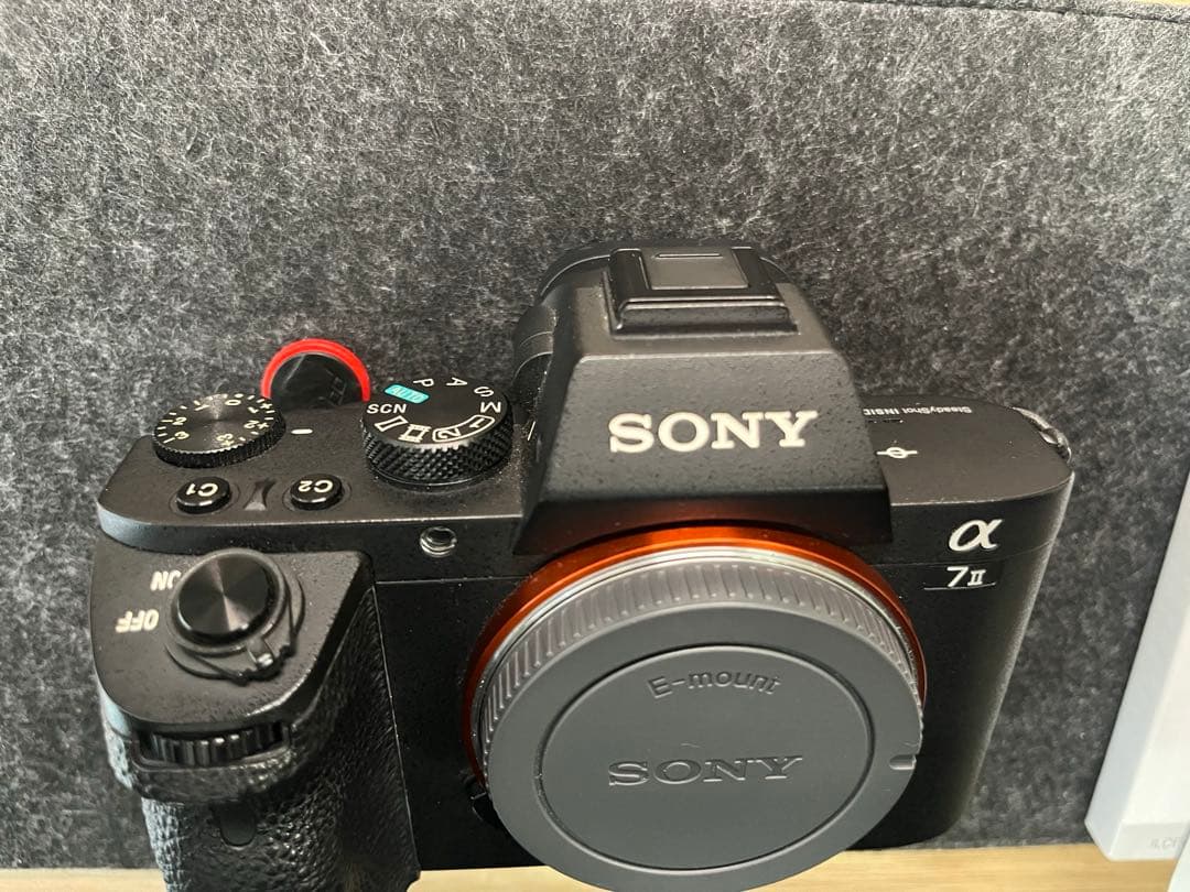 SONY α7Ⅱ ILCE-7M2 アンカーリンクス　予備電池　レザーケース