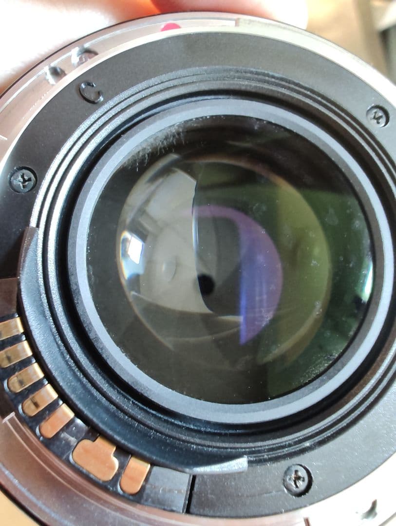 Canon 5D Mark II + Zeiss 50mm ZE 動作品