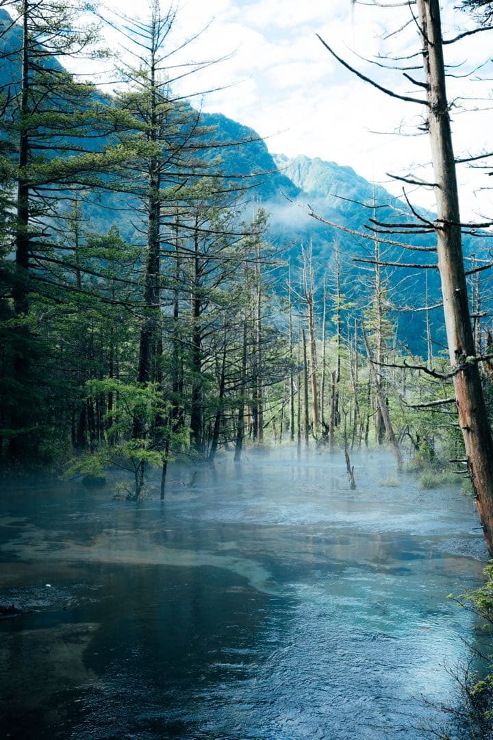 FUJIFILM X-H1 ボディのみ（箱他付属品あり）