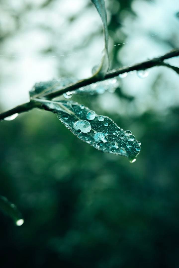 FUJIFILM X-H1 ボディのみ（箱他付属品あり）