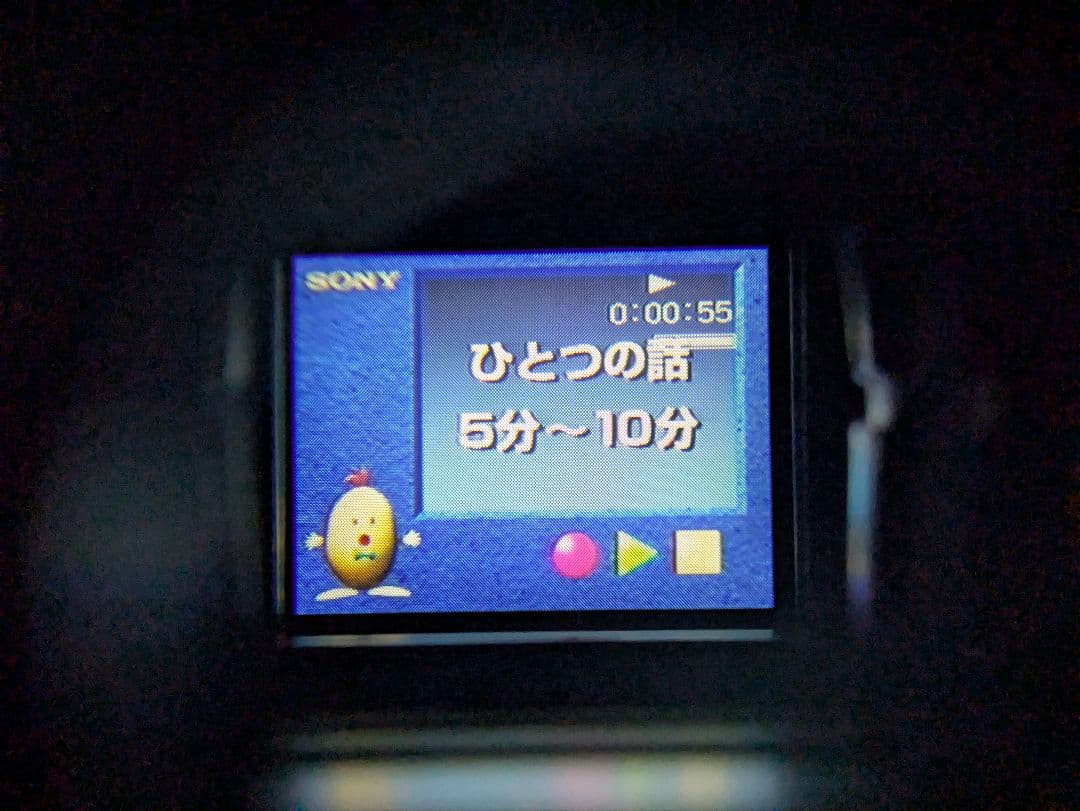 【豪華セット】SONY　CCD-TR2　Hi8　8mm対応