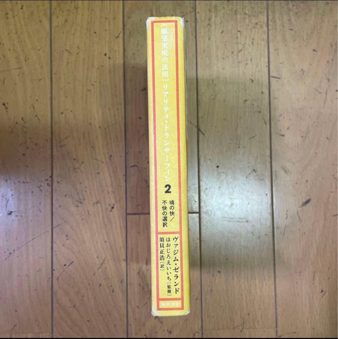 ❣️トランサーフィン 2 ‼️ヴァジム・ゼランド❣️