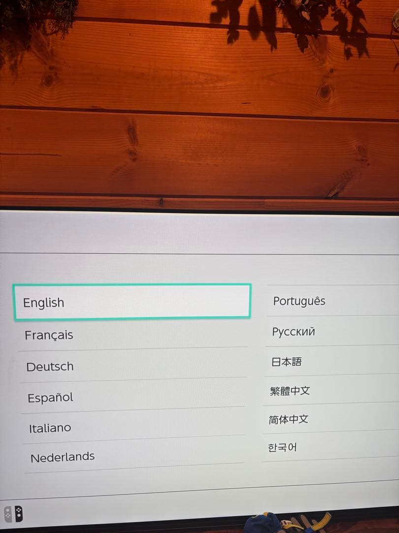 Nintendo Switch 本体 + アクセサリーセット　説明欄ご確認下さい
