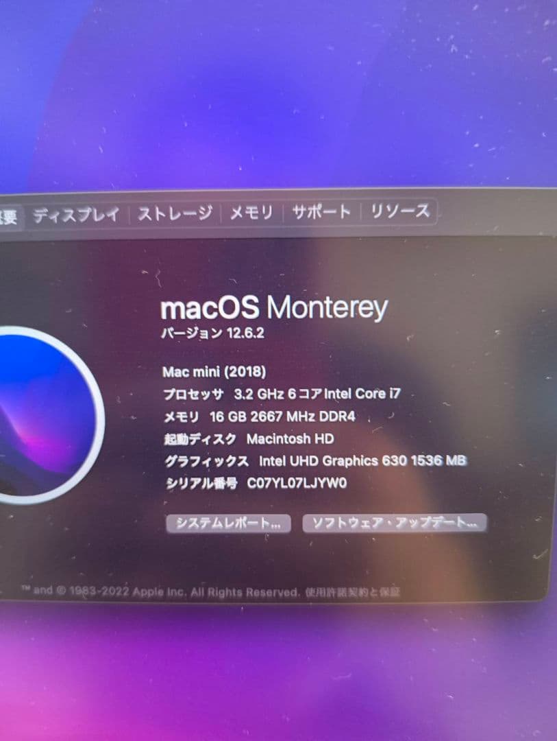 Macデスクトップ Mac mini 16GB 256GB
