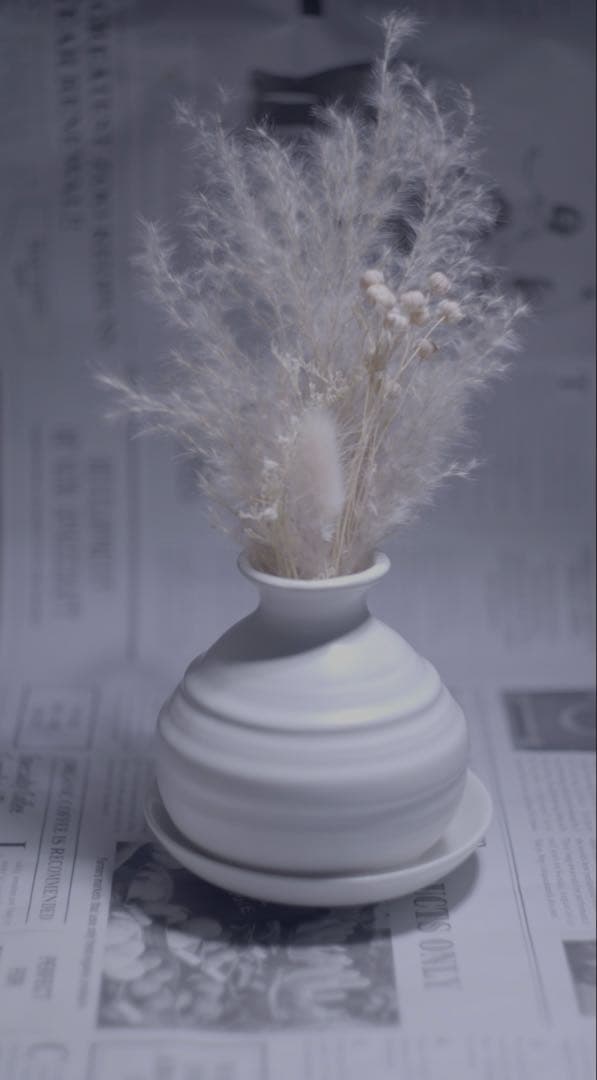 レンズ(単焦点) Carl Zeiss jena pancolar 50mm f1.8 m42