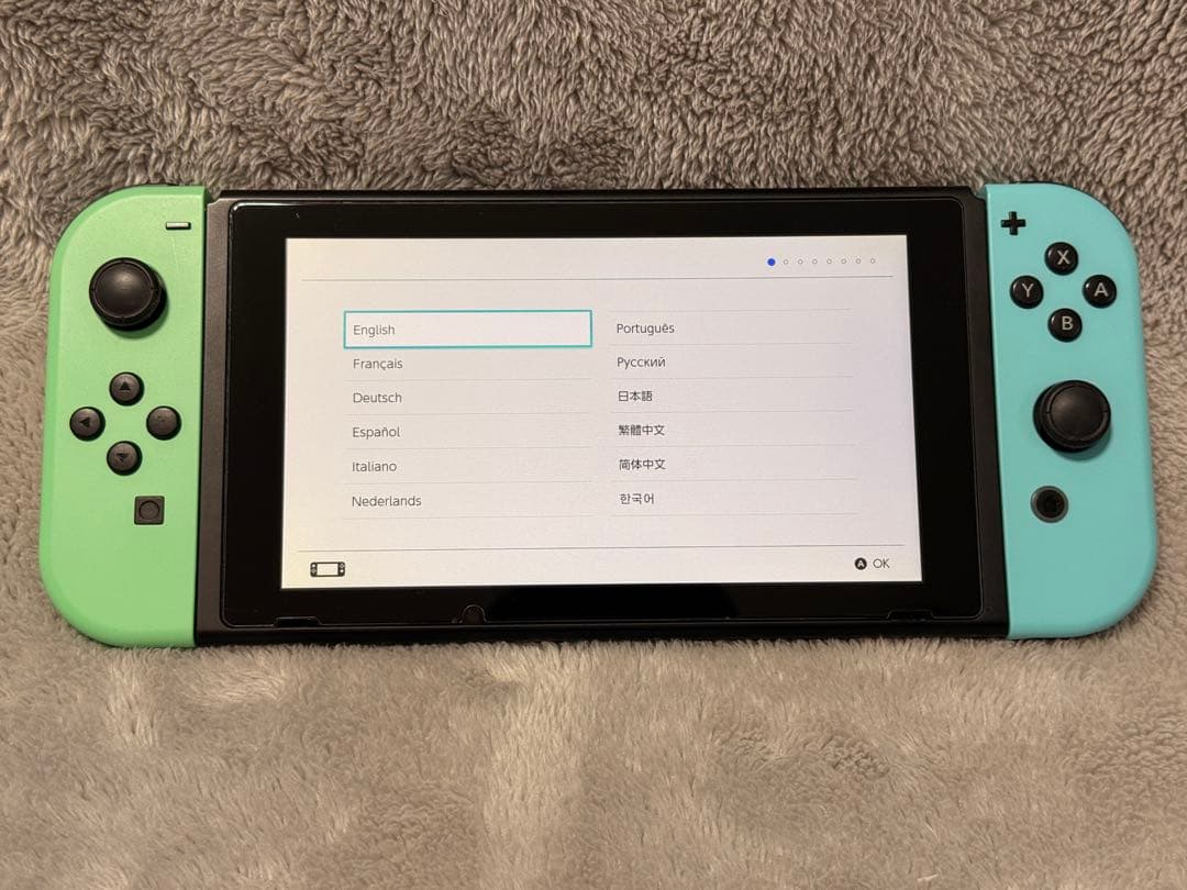 Nintendo Switch 本体 あつまれどうぶつの森 ポケモンSV 付き