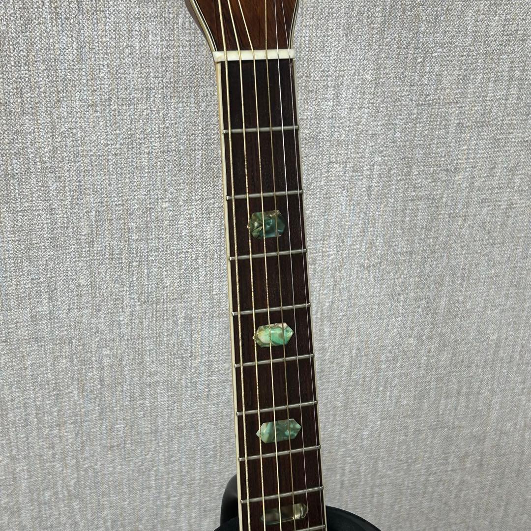 MORRIS モーリス W-40 L.R.Baggs Element VTC搭載