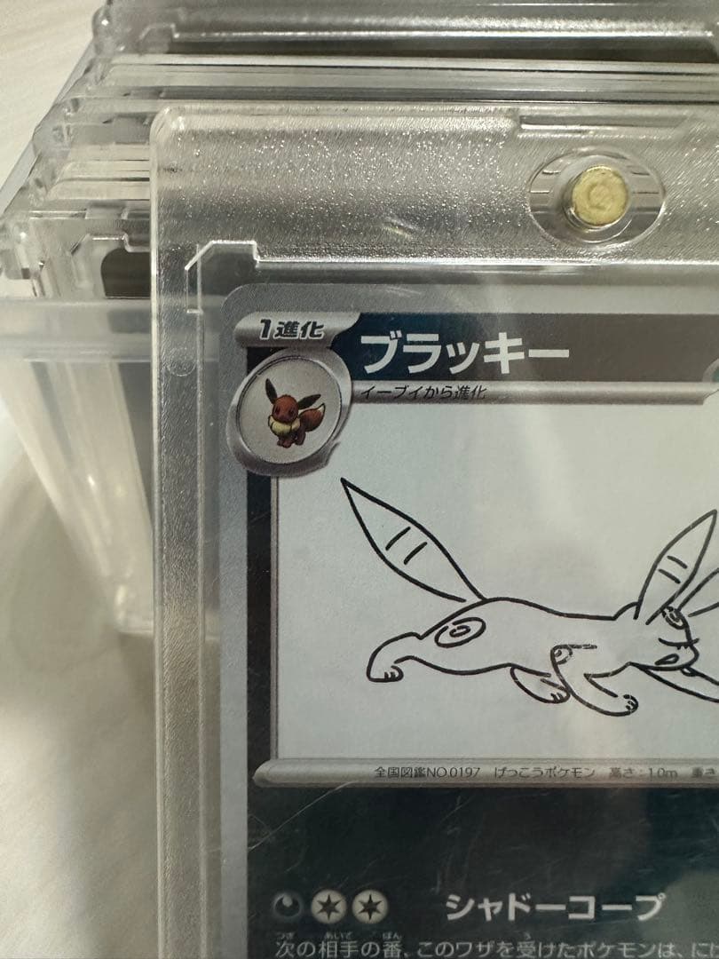 J*n様 ブラッキー プロモカード 長場