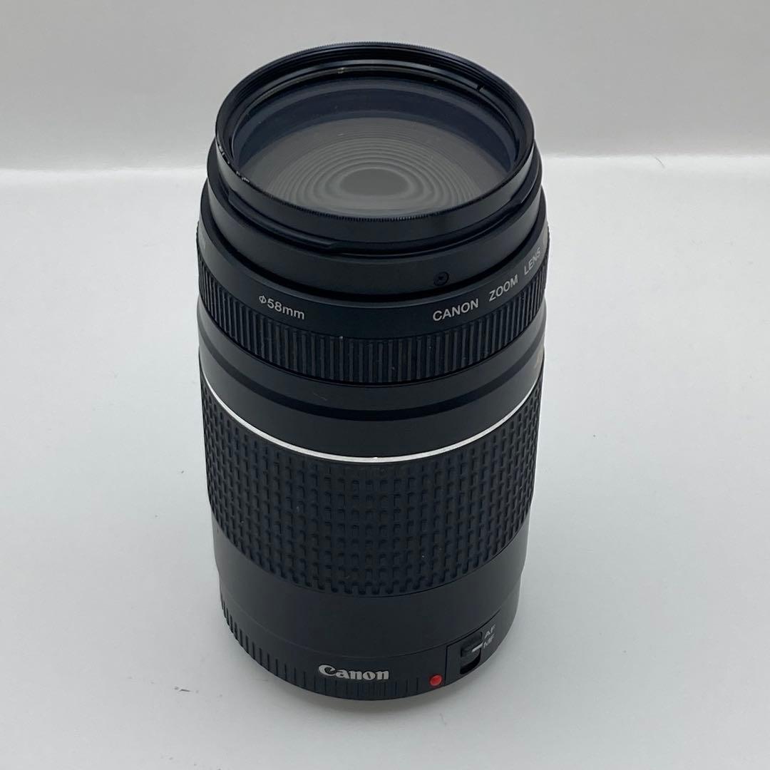 Canon EF 75-300mm 1:4-5.6 Ⅲ USM