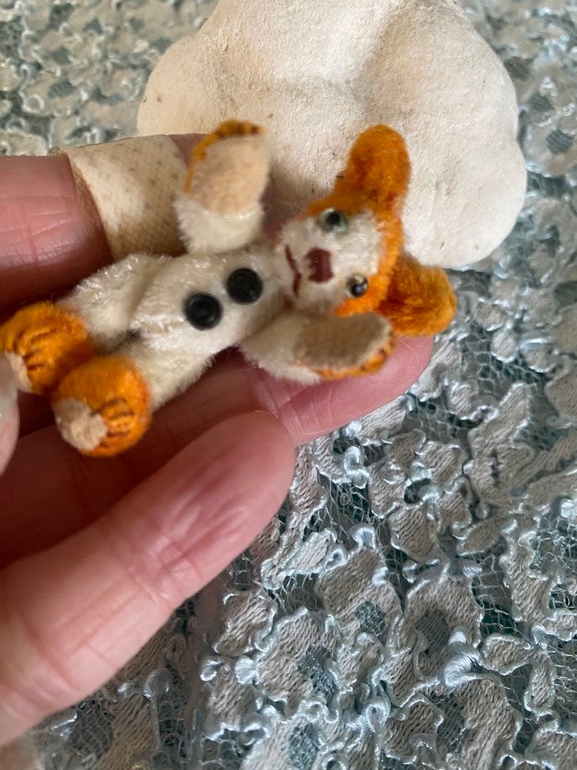 個性的 テディベア 作家さん