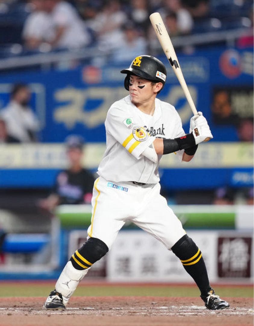 ソフトバンクホークス　牧原大成 #8　バット NPBマーク 支給品　実使用