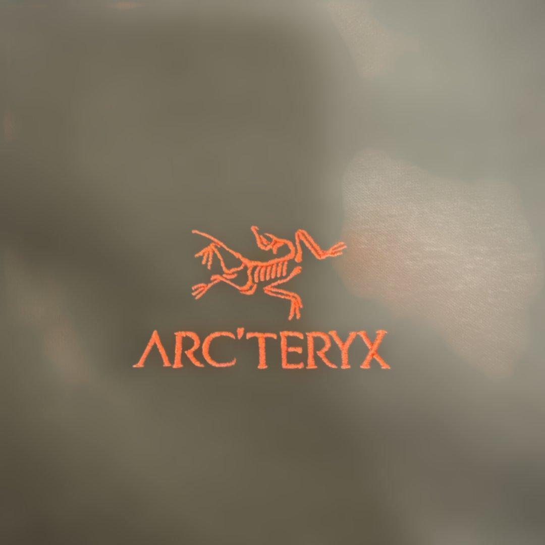 【国内正規店購入未使用新品】アークテリクスエンブレムフリースクルーメンズ茶S